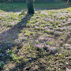 23-02-13 12-31-37 4174